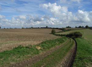 Upham