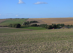 Farmland
